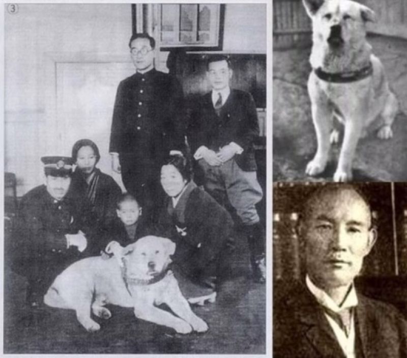 ý nghĩa của cái tên hachiko ý nghĩa của cái tên hachiko